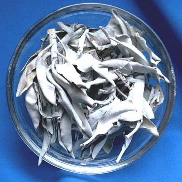 Weißer Salbei - Räucherwerk in Tüten 30 gr.